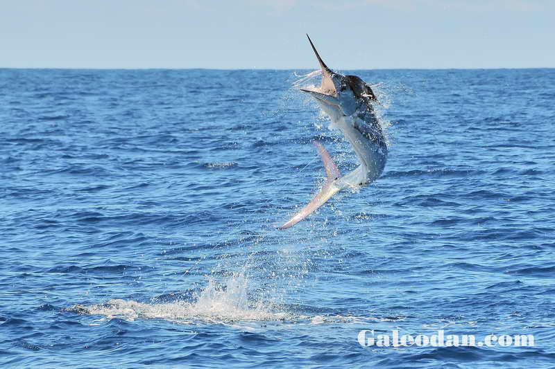 2011-03-04 110045 2011-03-04 110045